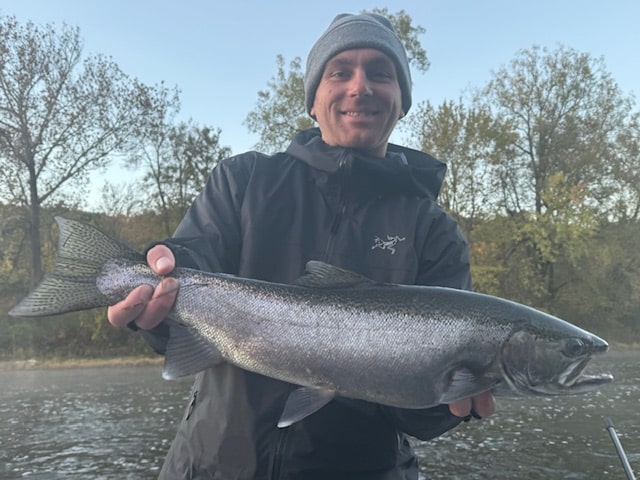 Muskegon River Fall Steelhead!