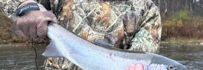 Crystal Chrome Steelhead Dreams!