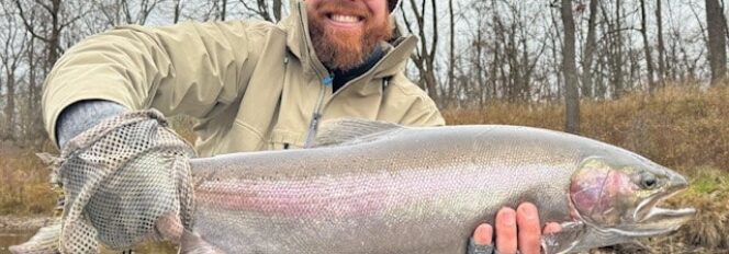 18-Pounds & 32-Inches Of Twisted Chrome Steel!