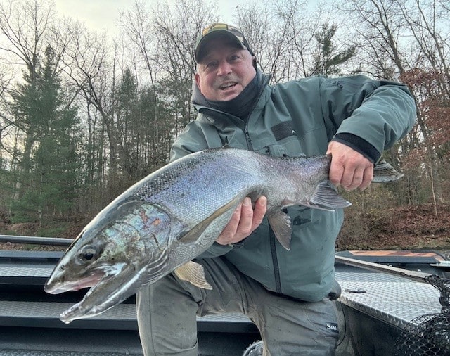 Don’t Tell Anyone but the Steelhead Fishing is Incredible on the Muskegon River Right Now!